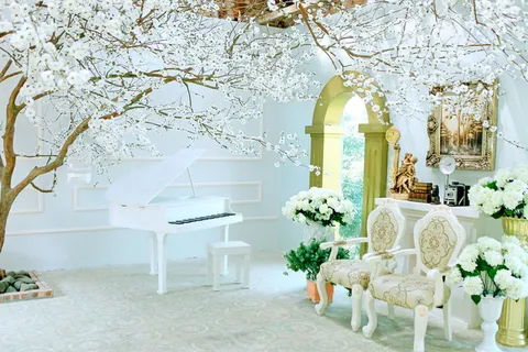 现代摄影结婚空间浪漫花卉背景 现代摄影结婚空间浪漫花卉背景