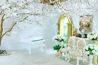 现代摄影结婚空间浪漫花卉背景