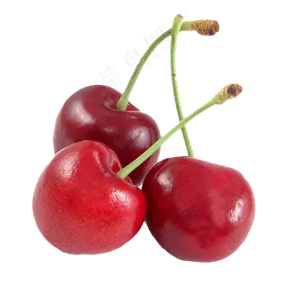 樱桃免抠素材 (8)