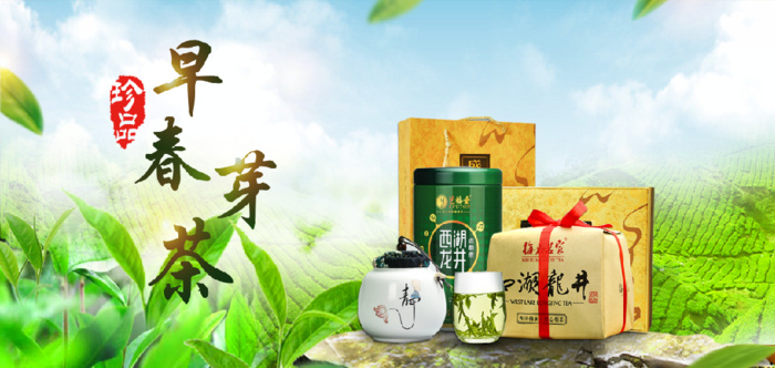 早春芽茶 背景 灯箱