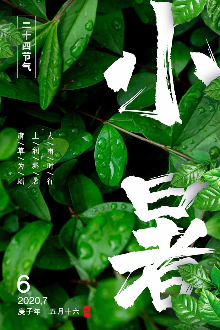 小暑 小暑海报设计psd模版下载