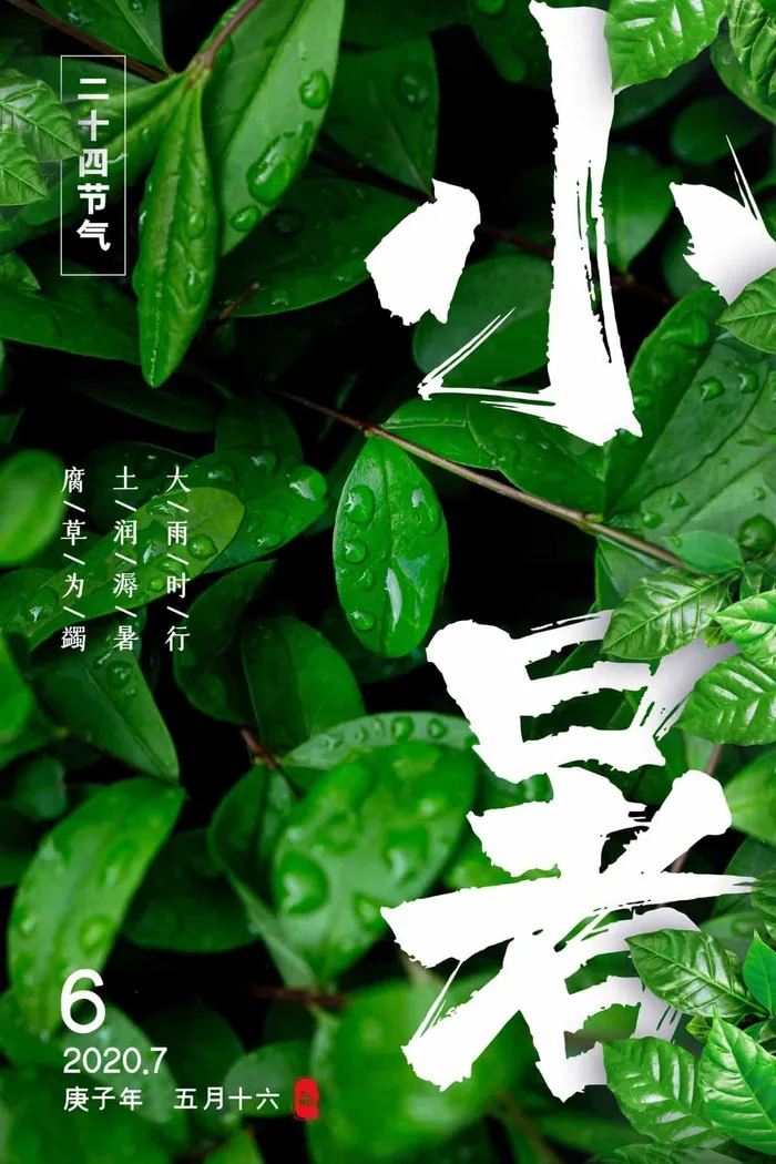 小暑 小暑海报设计psd模版下载