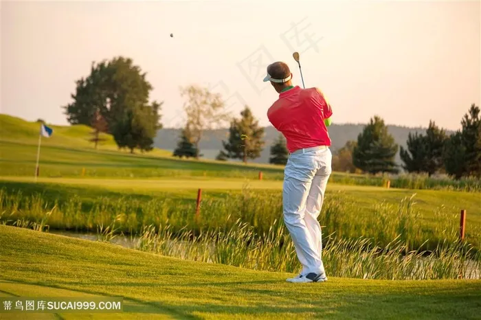 打高尔夫的国外男人高清图