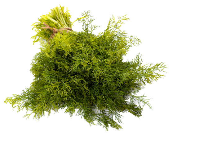 茴香 (4)超市商品白底图免抠实物摄影png格式图片透明底