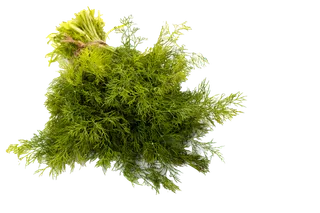 茴香 (4)超市商品白底图免抠实物摄影png格式图片透明底