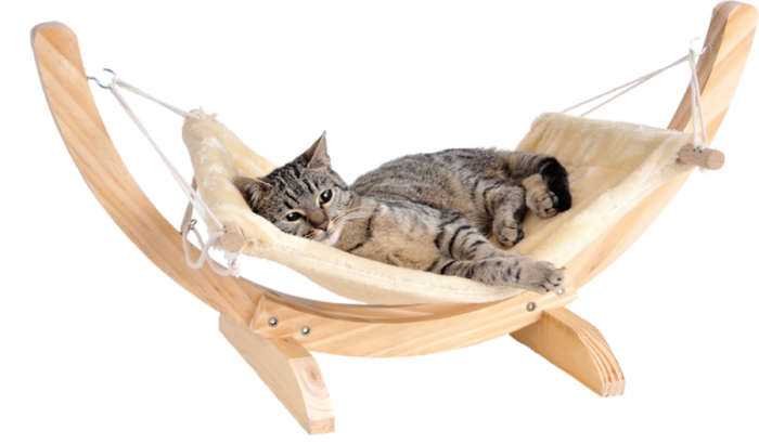 猫咪睡吊床