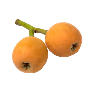 枇杷 (4)水果超市商品白底图免抠实物摄影png格式图片透明底