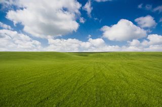 绿色草原桌面图片