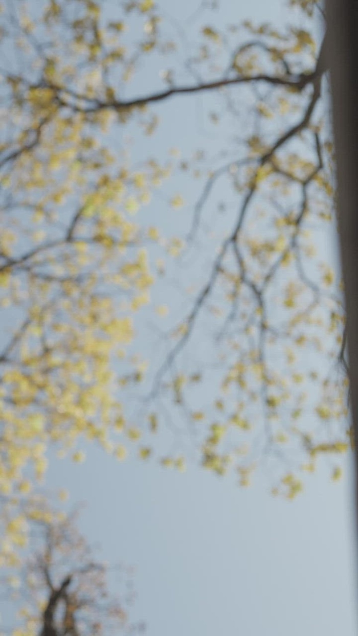 自然界中骑自行车者车轮的底视图