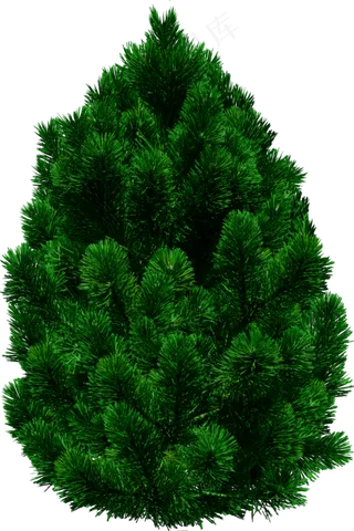 圣诞树免扣png 