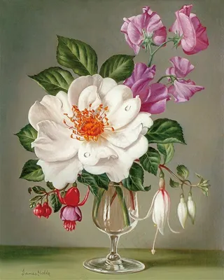 高清花卉油画图片