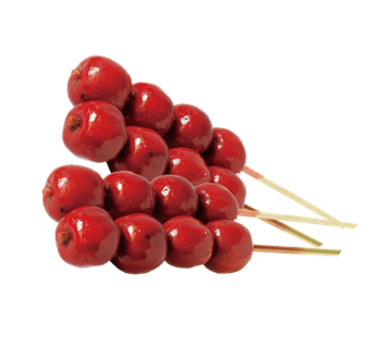 传统手工工艺人物