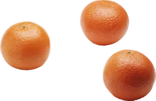 橘子免抠素材 (12)