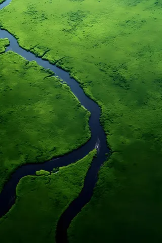 农田河流绿色背景