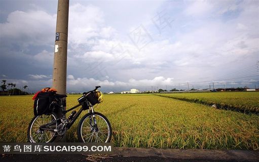 稻田前的单车摄影
