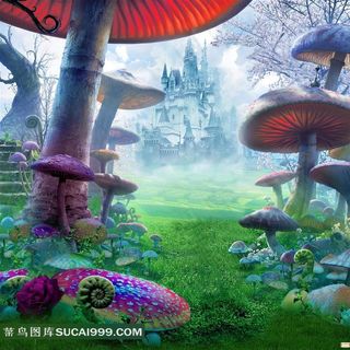 蘑菇树摄影背景图片