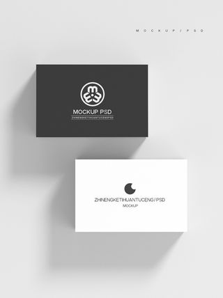 高端大气商务名片样机