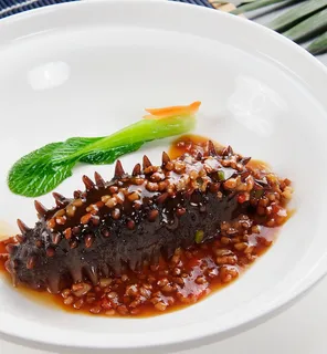 GY00093肉沫参 GY00093肉沫参