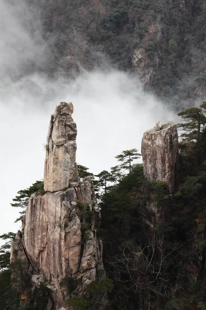 安徽黄山奇松风景图片-第14张