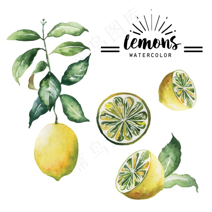 4款水彩绘黄色柠檬矢量素材