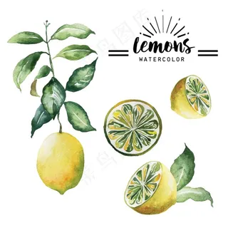 4款水彩绘黄色柠檬矢量素材