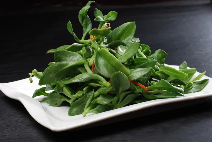 LCSC2548生炝田七苗