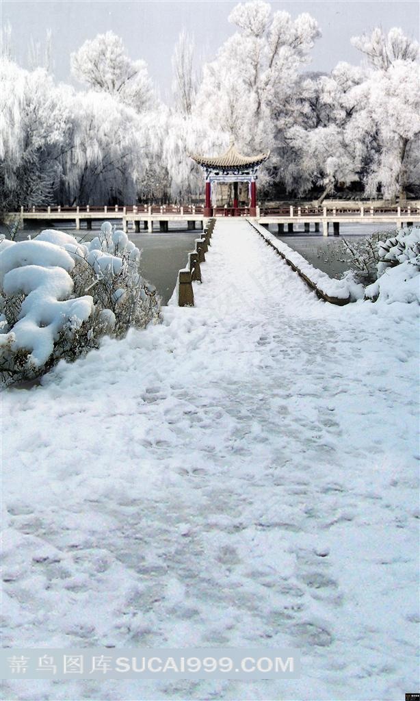 美丽雪景小桥流水阁楼影楼背景