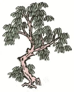 古树绘画图片素材