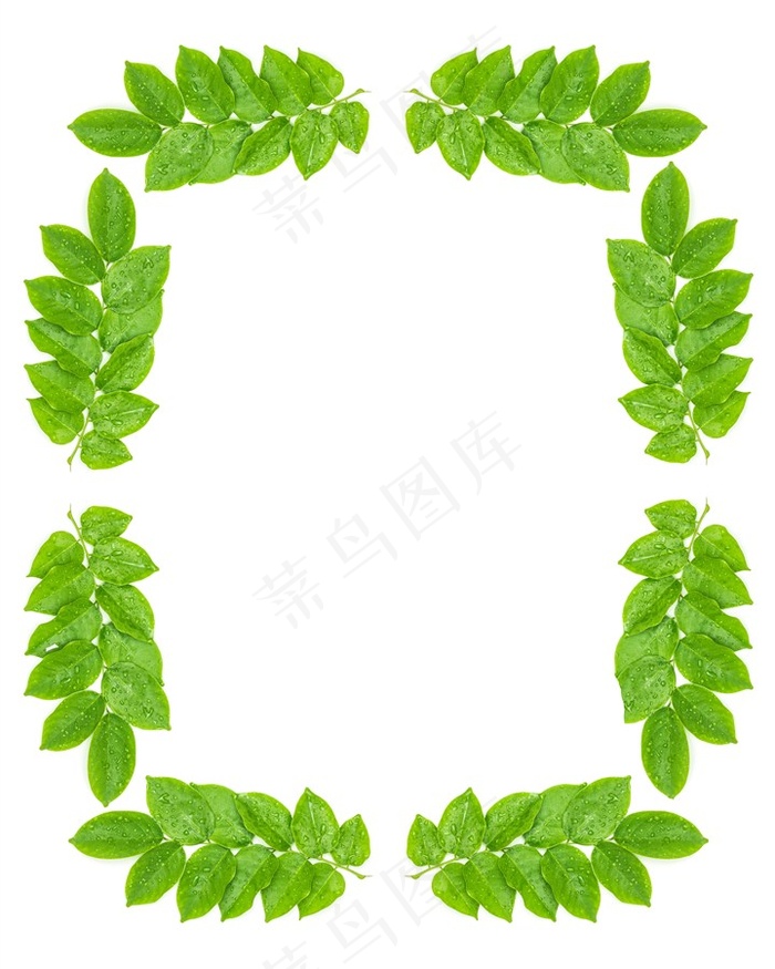 围成圈的绿色叶子