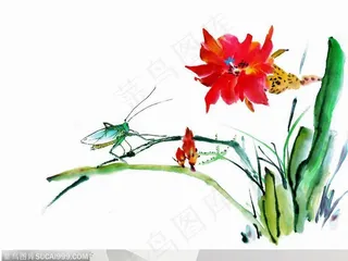 昆虫水墨画-国画红花蝈蝈