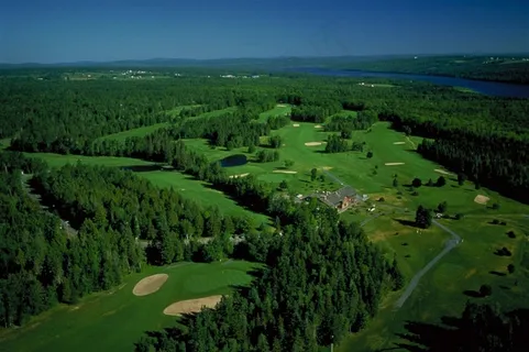 平原草地上的树林图片