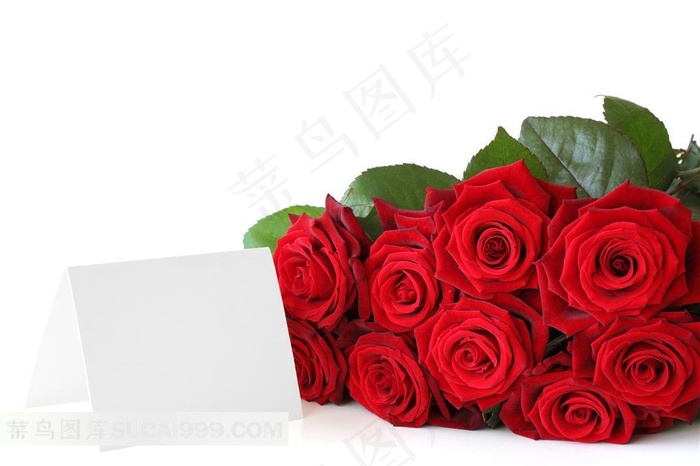 高清玫瑰鲜花卡片素材