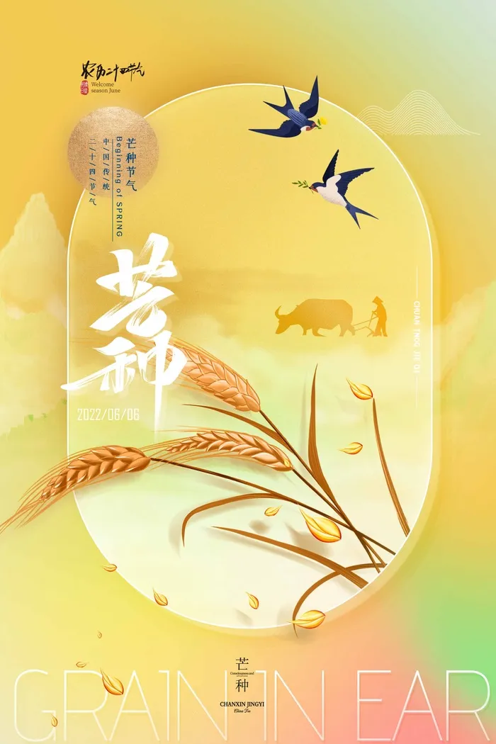 芒种 芒种宣传海报psd模版下载