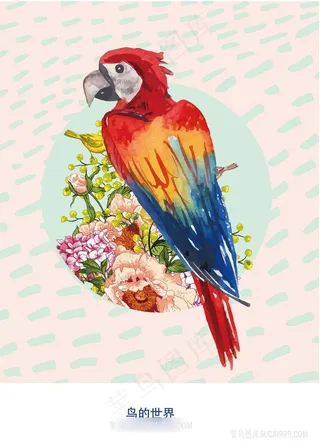 水彩时尚鹦鹉插画