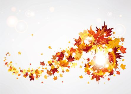 树叶创意作品图片