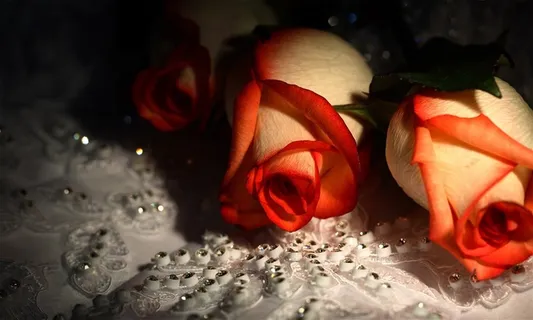 蕾丝水钻玫瑰花