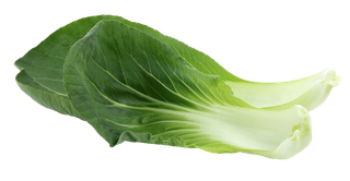 上海青 (3)超市商品白底图免抠实物摄影png格式图片透明底