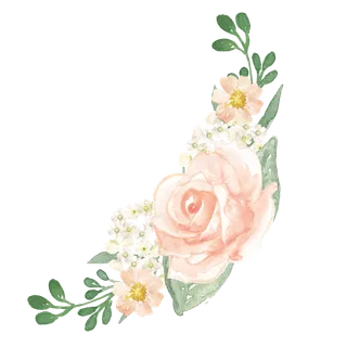 唯美森系手绘水彩花朵 免抠