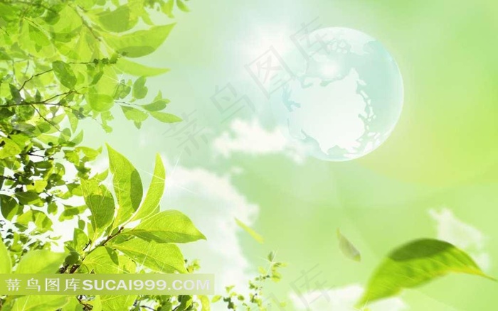 环保树叶地球背景