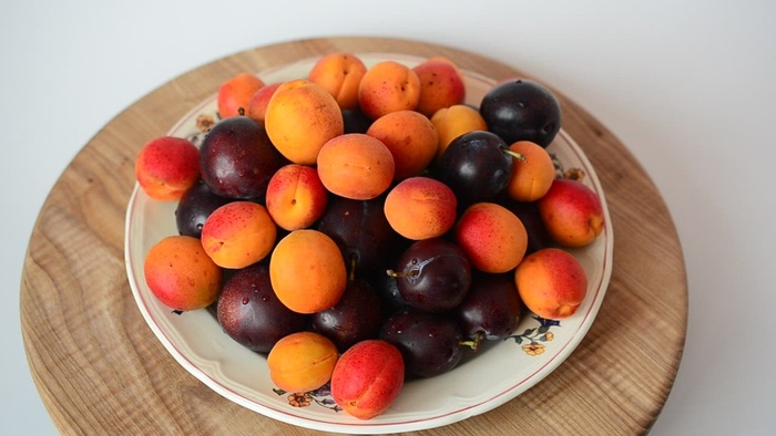 葡萄和小桃子的介绍