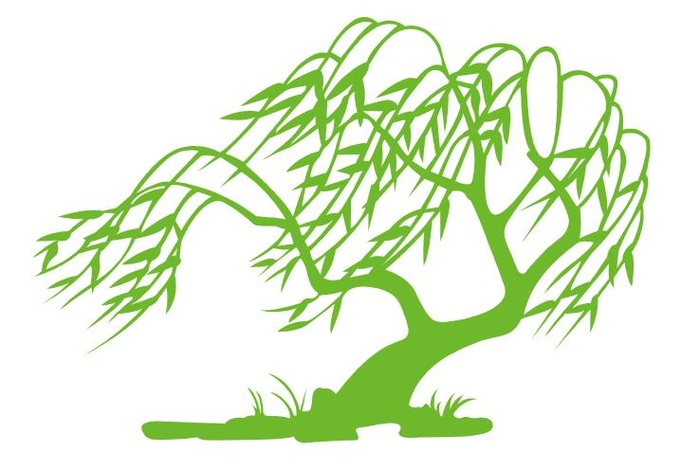 矢量柳树剪影cdr矢量模版下载