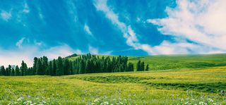 高清创意绿色环保背景图片公益海报展板宣传PSD分层平面设计素材