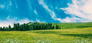 高清创意绿色环保背景图片公益海报展板宣传PSD分层平面设计素材