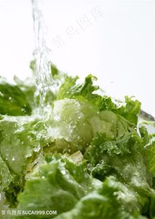 新鲜生菜蔬菜高清素材