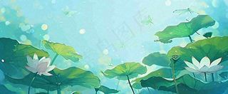 夏天湖面落叶荷花荷叶水面仰视，夏至小暑大暑