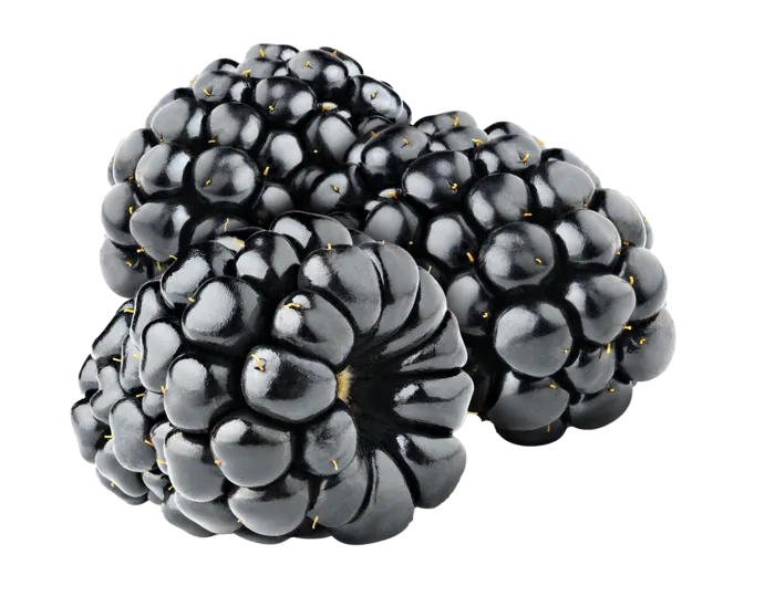 桑椹 (3)水果超市商品白底图免抠实物摄影png格式图片透明底