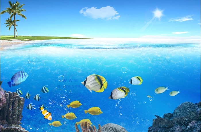 大海鱼团海底椰树背景墙psd模版下载
