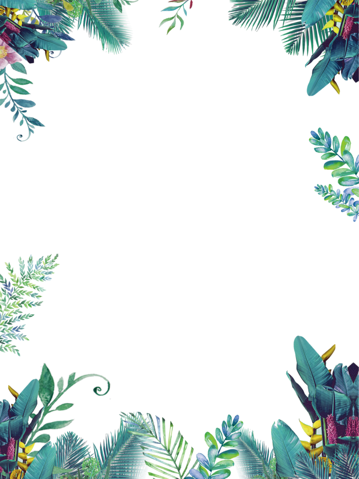 植物免抠素材