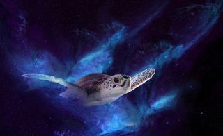 元宇宙世界天空背景墙风景