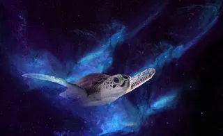 元宇宙世界天空背景墙风景